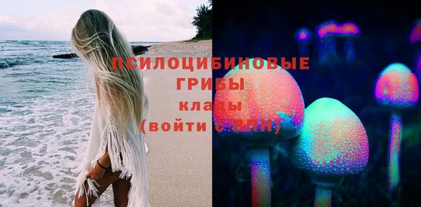 дмт Балахна