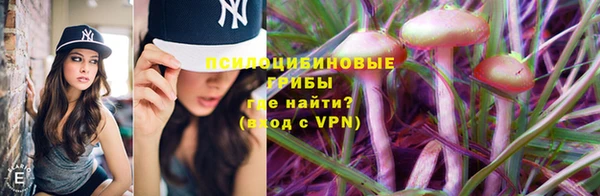 дмт Балахна