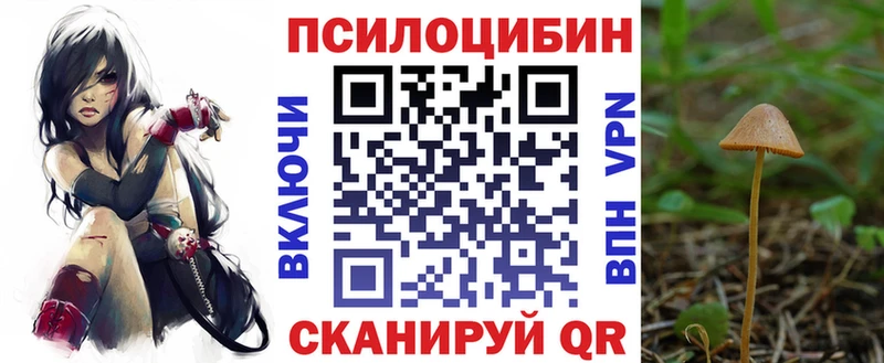 Галлюциногенные грибы Psilocybe  KRAKEN ссылки  Тутаев 